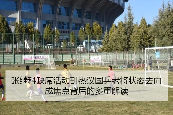 张继科缺席活动引热议国乒老将状态去向成焦点背后的多重解读